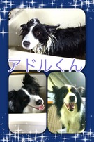 ゆったり入れるお風呂です♪
